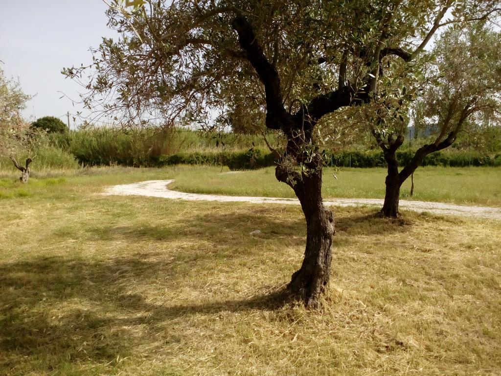 Pappou'S Studios Ormos Panagias Exterior photo